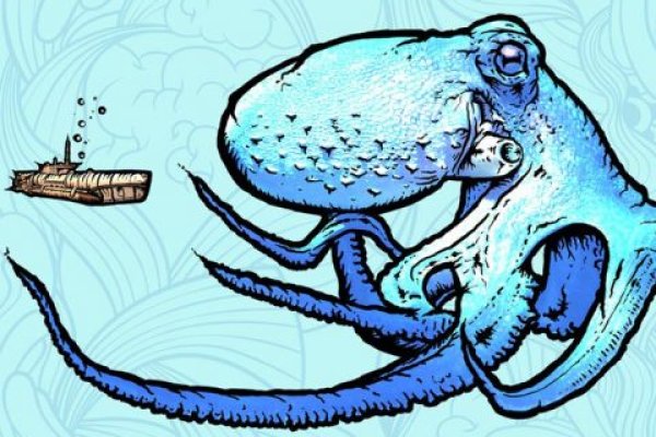 Kraken ltd