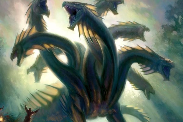 Kraken zerkalo официальный сайт