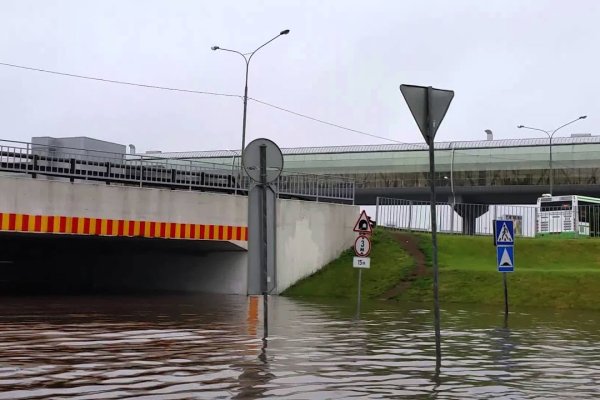 Кракен оф ссылка